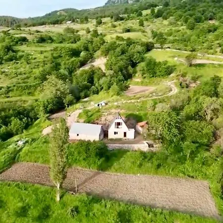 Orman Evi Qafe-murrize, Tiran