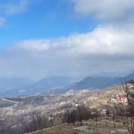 Qafe-murrize, * Tirana