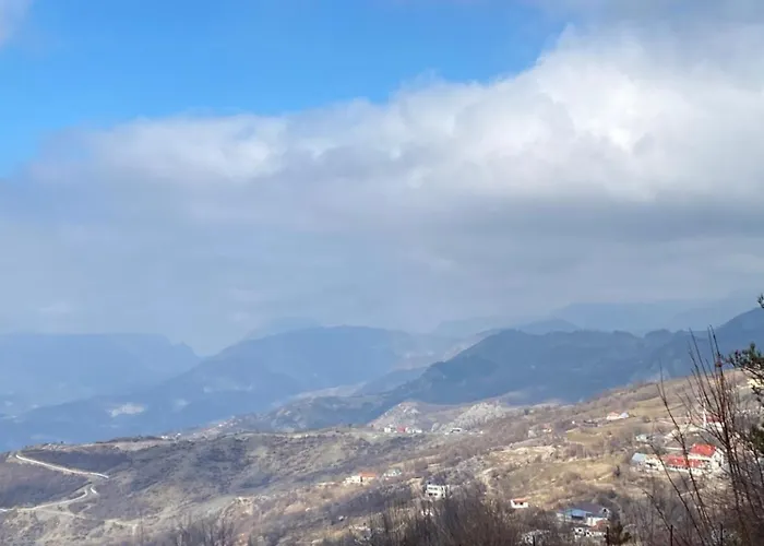 Qafe-murrize, * Tirana