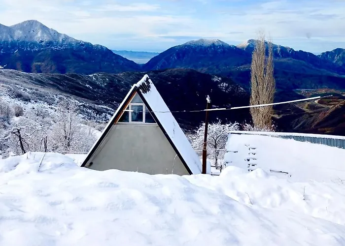 Qafe-murrize, Tirana